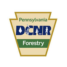 Link to the DCNR Bureau of Forestry web page