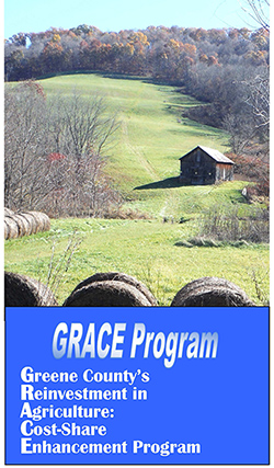 Access the GRACE Brochure as a PDF